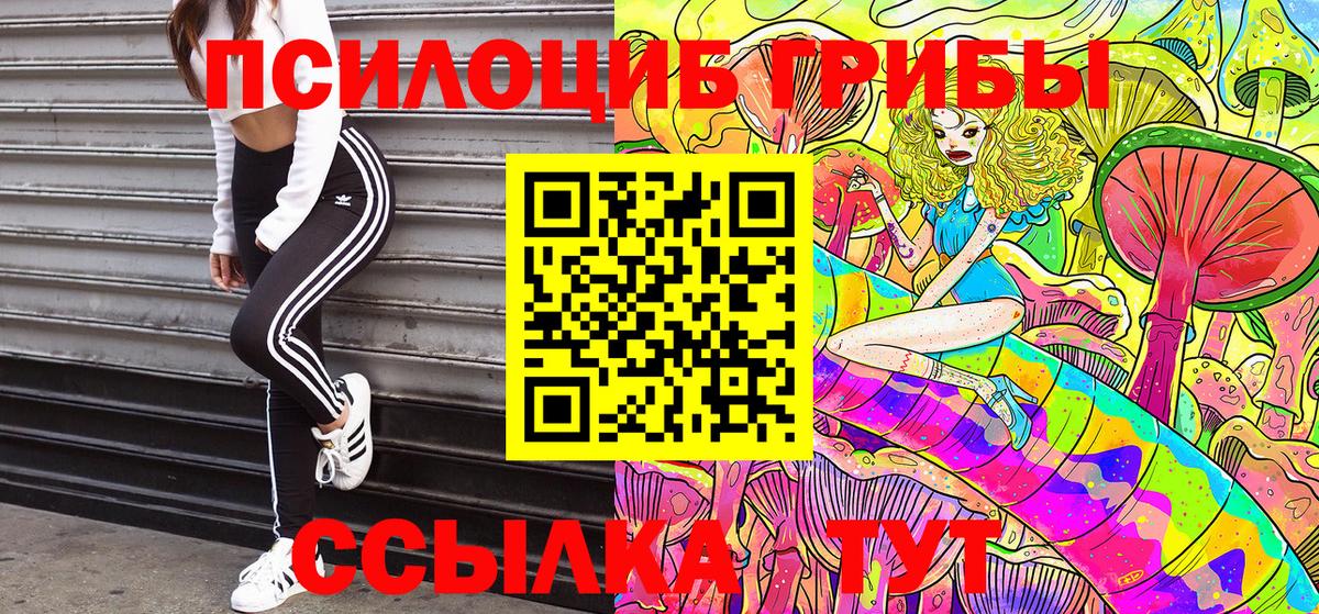 Галлюциногенные грибы Cubensis  Вход с VPN  даркнет сайт  Лянтор 